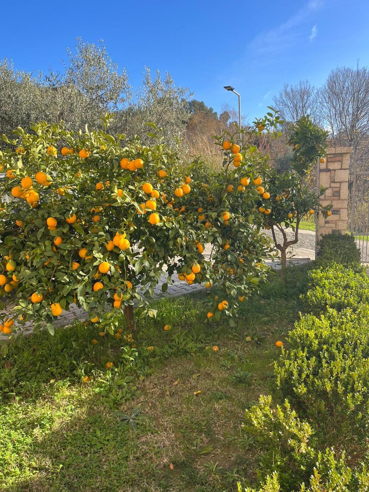 Villa Dei Limoni Shkallnur Exterior photo